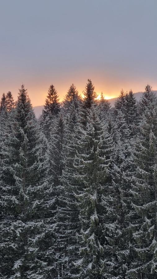 Charming Family Condo In Silver Mountain Poiana Brasov Luaran gambar